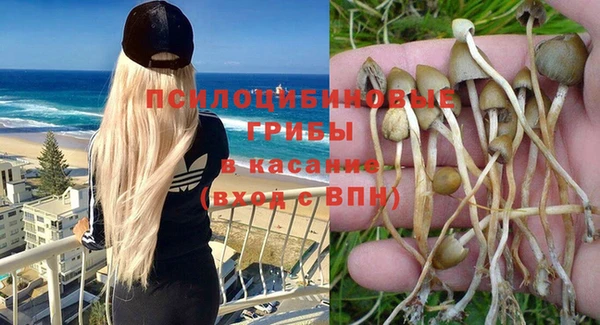 круглые Лагань