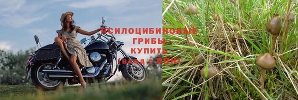 гидропоника Ладушкин