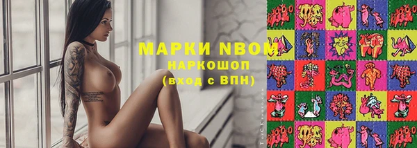 гидропоника Ладушкин